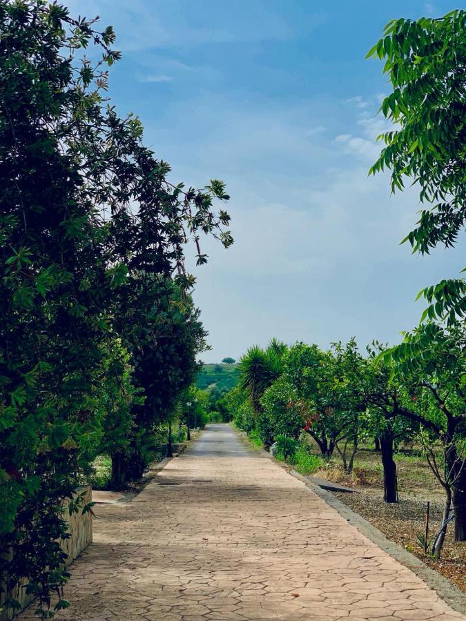 Villa Il Giardino Delle Zagare à Calatabiano Extérieur photo