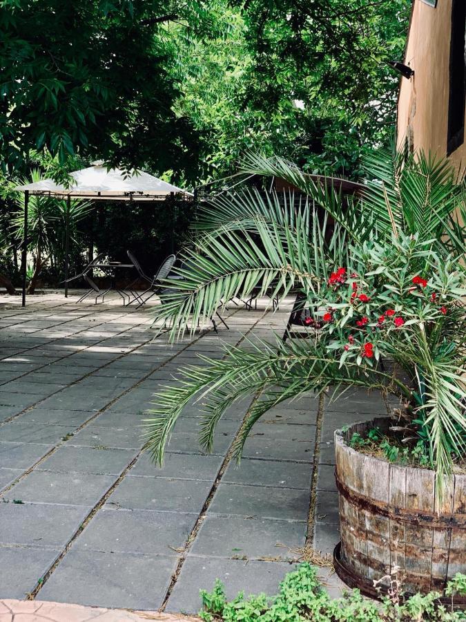Villa Il Giardino Delle Zagare à Calatabiano Extérieur photo